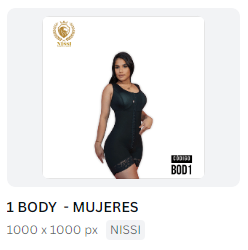 La imagen tiene un atributo ALT vacío; su nombre de archivo es Body-Nissi.png